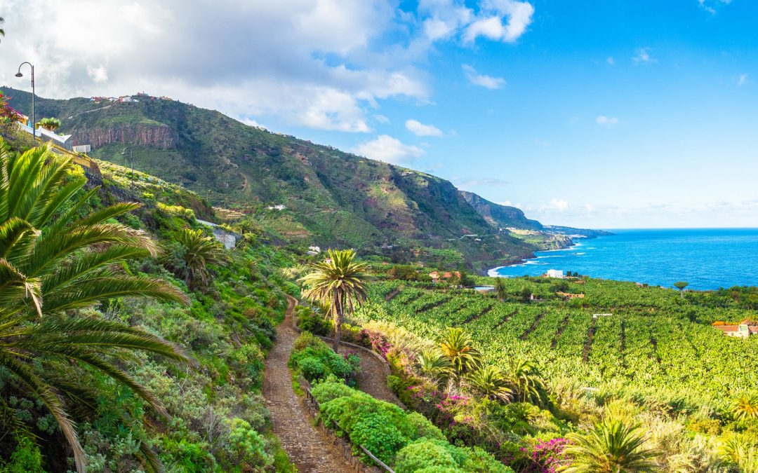 Tenerife, una maravilla en el Atlántico