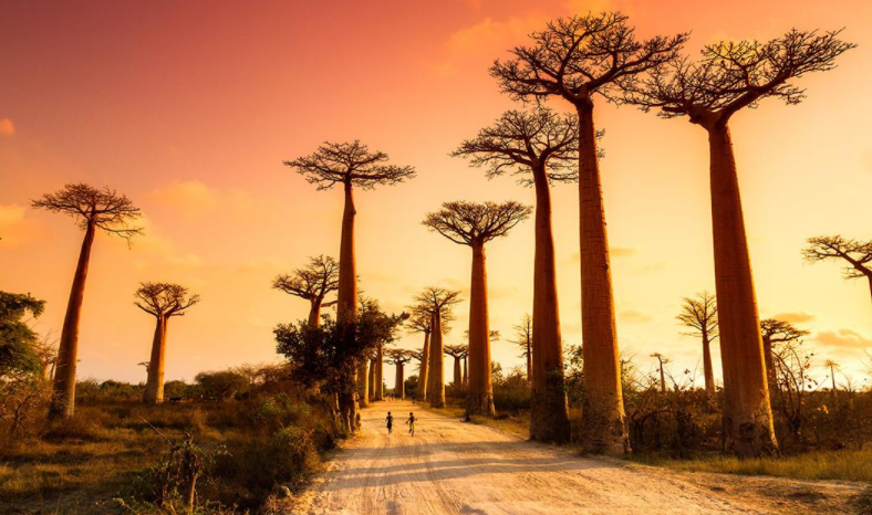 8 Increíbles lugares que debes visitar en Madagascar